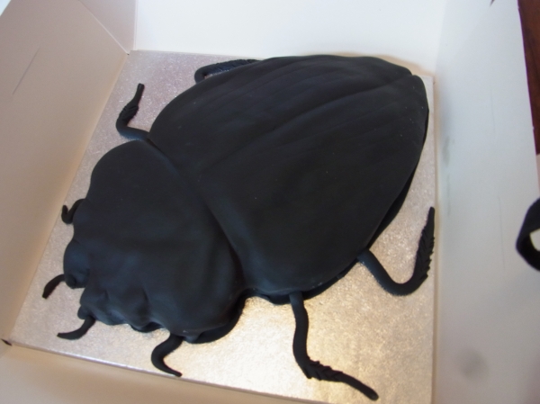 Bug Cake